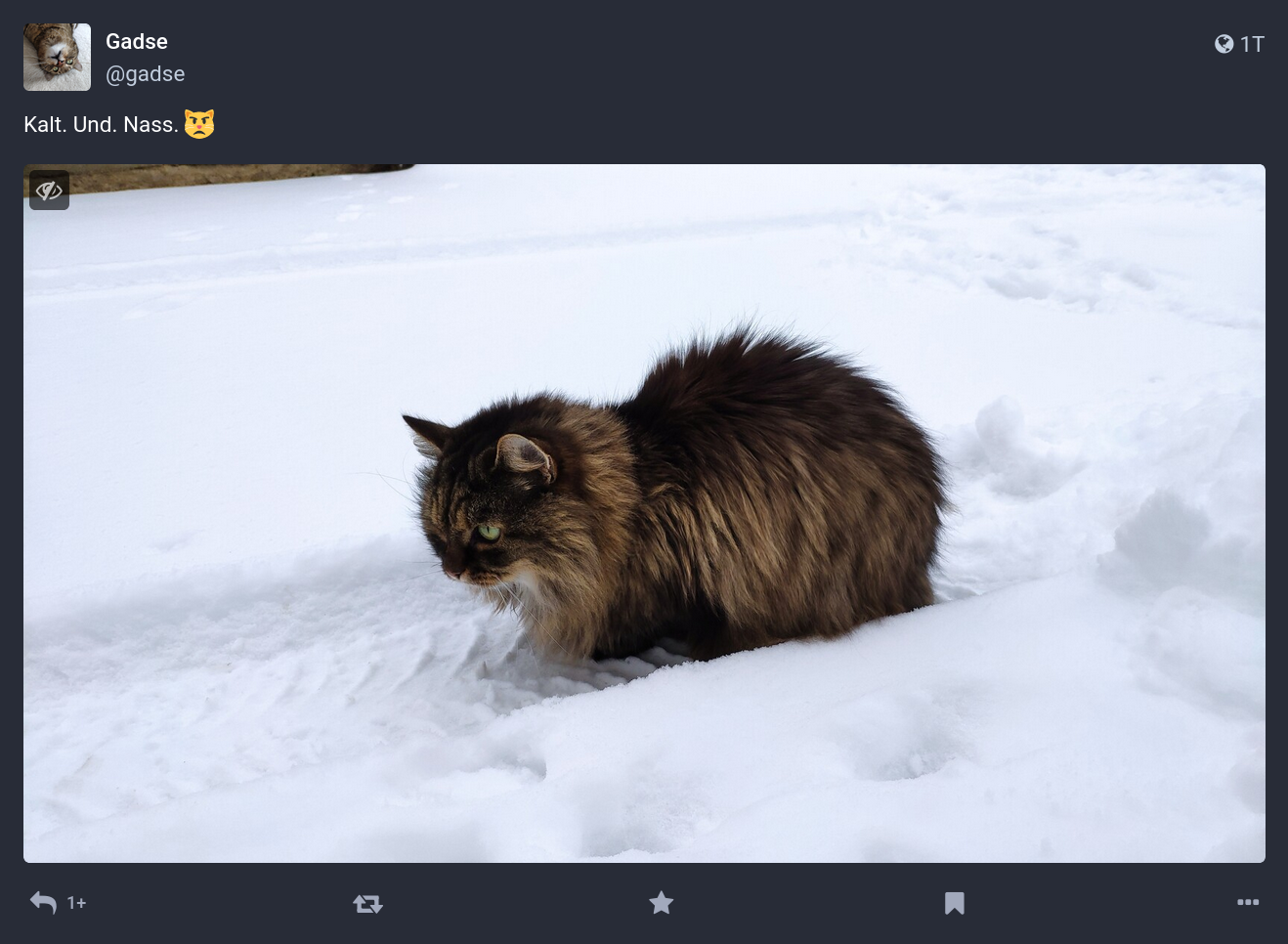 Ein Post des Accounts '@gadse@chaos.social' auf Mastodon. Der Post besteht aus dem Text 'Kalt. Und. Nass. 😾' und dem Foto einer Katze. Originale Bildbeschreibung des Fotos: 'Eine flauschige Langhaarkatze hockt in der Reifenspur eines Autos
            mitten in einer verschneiten Fläche. Sie starrt geradeaus und wirkt
            nicht unbedingt zufrieden mit der Situation'